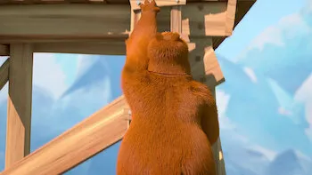 E28.Treasure Bear