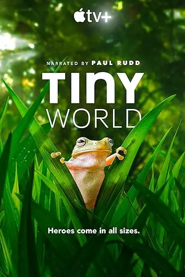 TV series poster: Tiny World