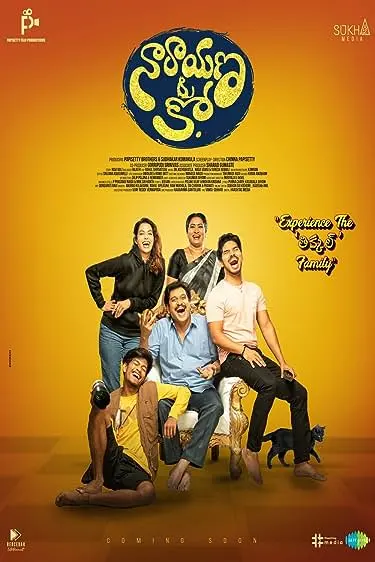Movie Poster: Narayana & Co