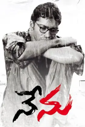 Nenu - Movie free on Castle