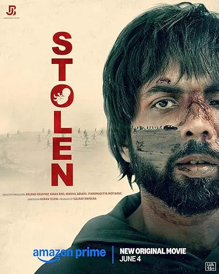 Movie Poster: Stolen