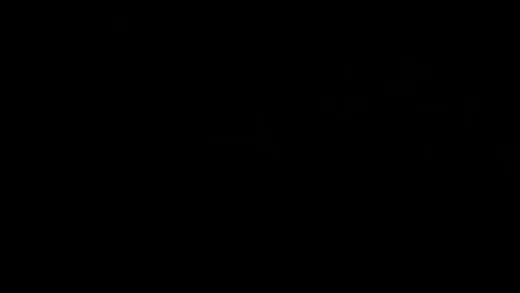 E9