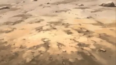 E21.Warriors on A Deserted Island