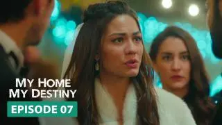 Episode 7