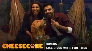 Like a Dog with Two Tails