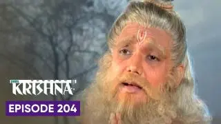 Episode 204
