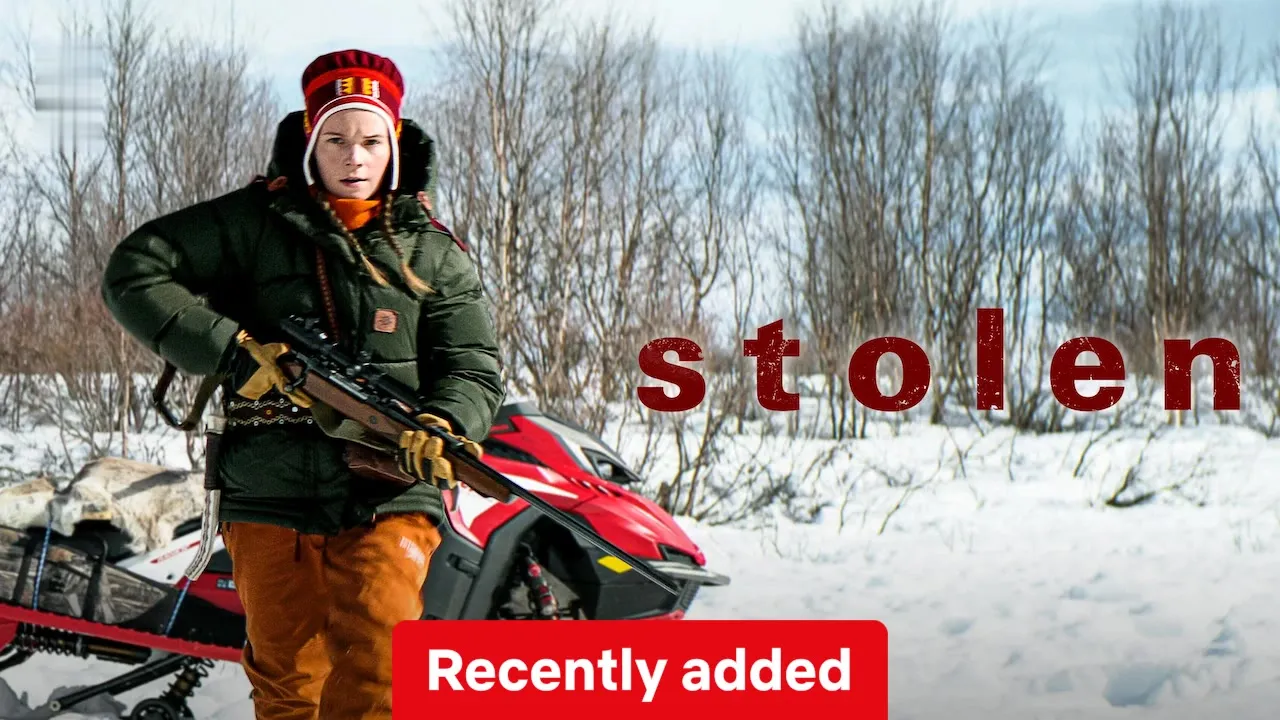 Movie Poster: Stolen