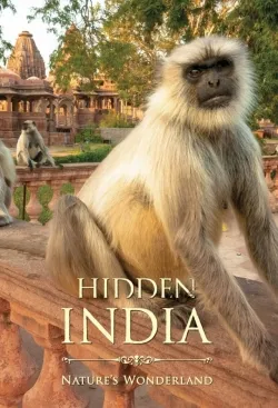 TV series poster: Hidden India