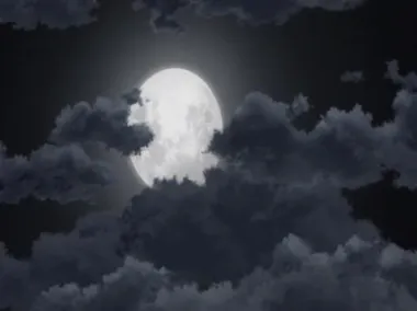 E481.Sasuke and Sakura