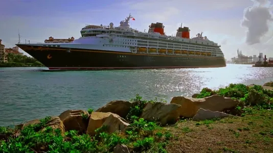 Movie Poster: The Wrong Cruise