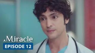 Episode 12