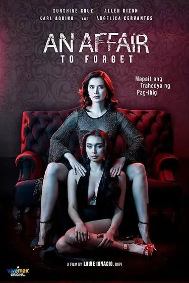 An Affair to Forget