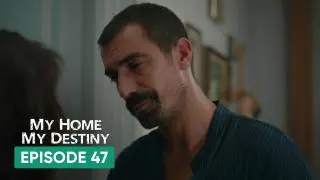 Episode 47