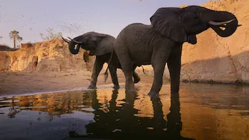 E3.Tsavo, Kenya