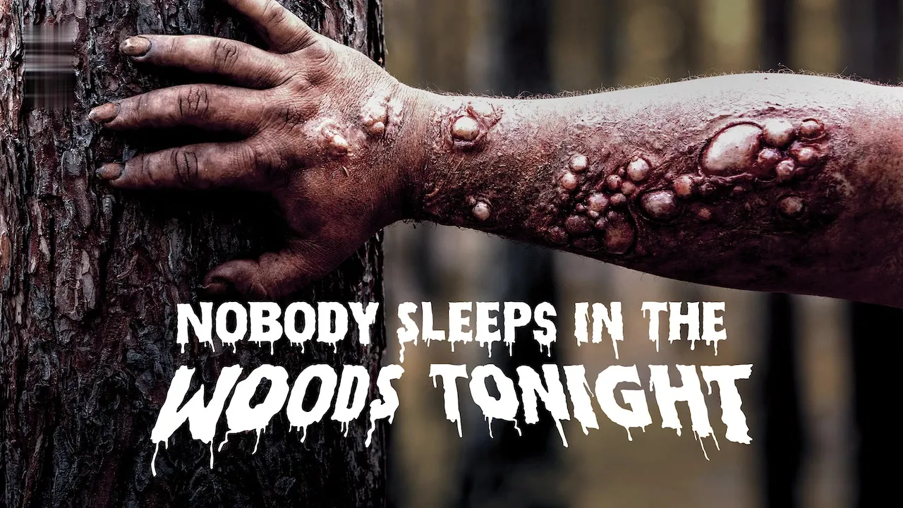 Nobody Sleeps in the Woods Tonight