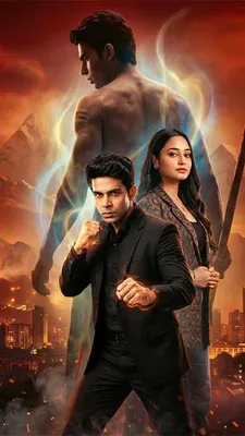 Movie Poster: Toofani Bodyguard