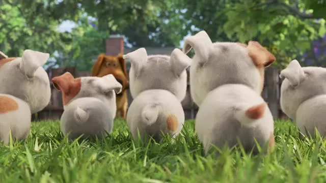 E2.Puppies