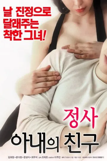 Movie Poster: An Affair – My Wife’s Friend 2