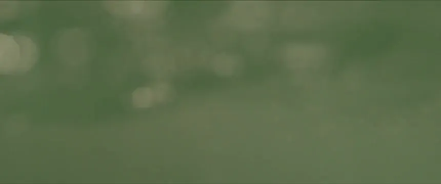 E6.Episode #2.6