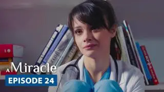 Episode 24