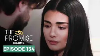 Episode 134