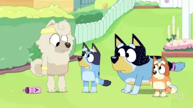E12.Sheep Dog
