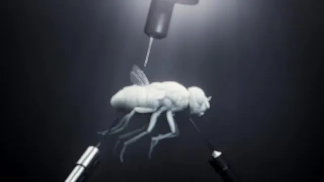 E3.Années Folles