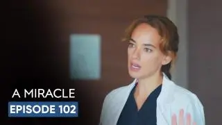 Episode 102