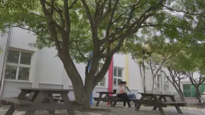 E4.A flying ball and sudden confession