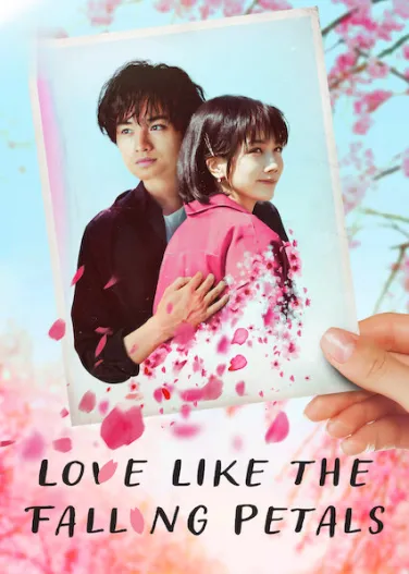 Love Like the Falling Petals
