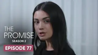 Episode 77
