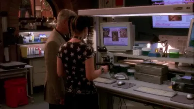 E6.The Voyeur's Web