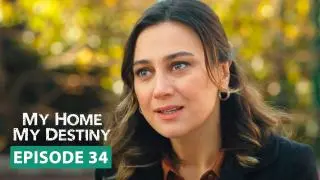 Episode 34