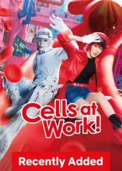 Cells At Work!