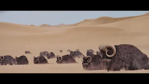 E1.Episode 1