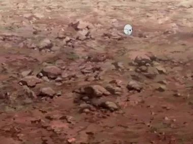 E449.The Shinobi Unite