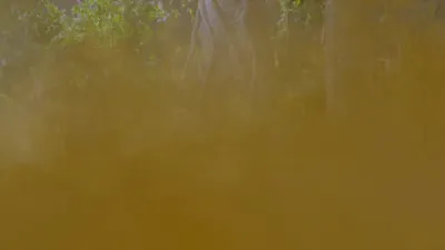 E271