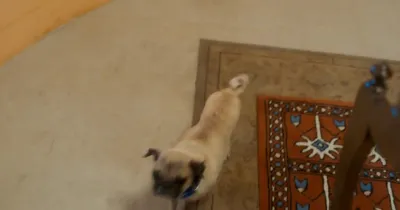 E9