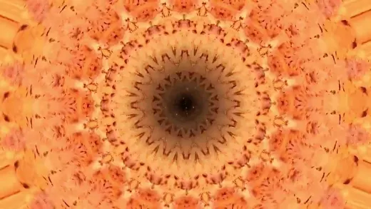 E187