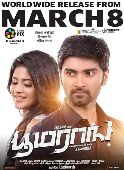 Movie Poster: Boomerang