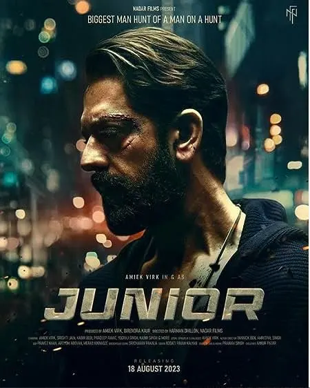 Movie Poster: Junior