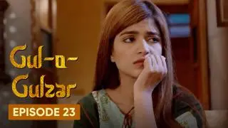Episode 23