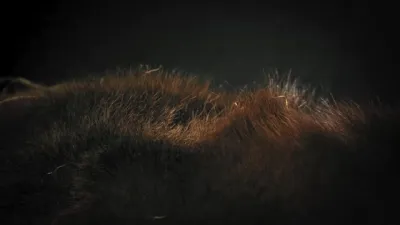 E1.Episode #1.1