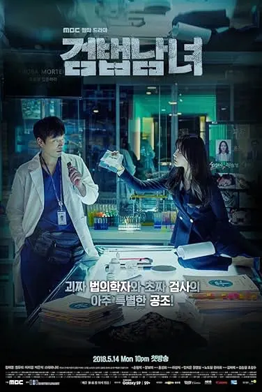 TV series poster: Partners for Justice