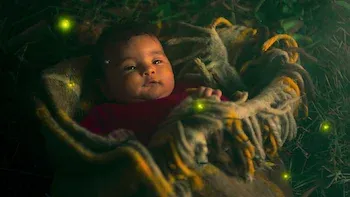 The Girl and the Firefly