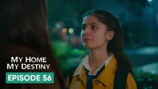 Episode 56
