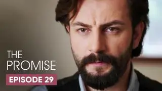 Episode 29