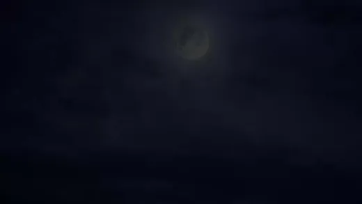 E884