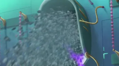 E60.Vector the Victor