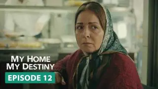 Episode 12